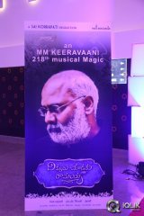 Dikkulu Choodaku Ramayya Movie Audio Launch
